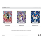 2024 Panini Phoenix Football Hobby Box - Image 4